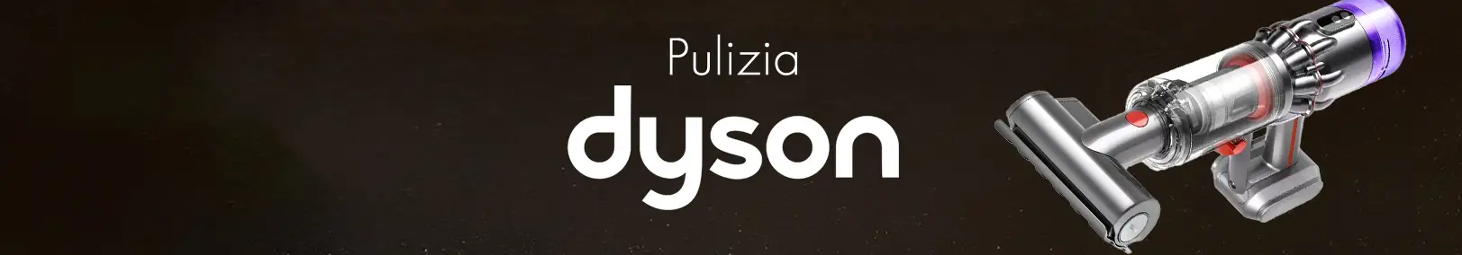 Pulizia Dyson