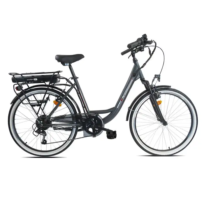 Image of Smartway E-bike C4 Matt grigio 2024