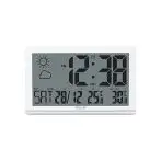 Explore Scientific RDC8001 Orologio da Parete Jumbo Radio-Controllato