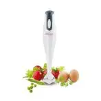 Melchioni MIXXXO PLUS Frullatore ad immersione 170 W Bianco