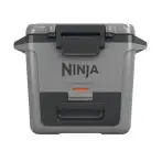 Ninja Ghiacciaia Rigida FrostVault 28L Grigio Ardesia