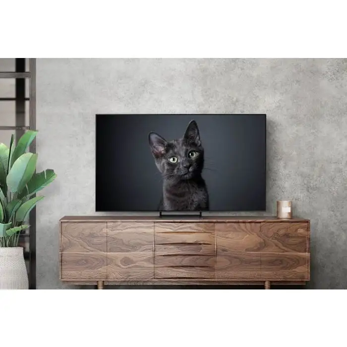 Samsung Series 9 OLED 4K 65&quot; S90C Smart Tv , 146863 , Immagine 4