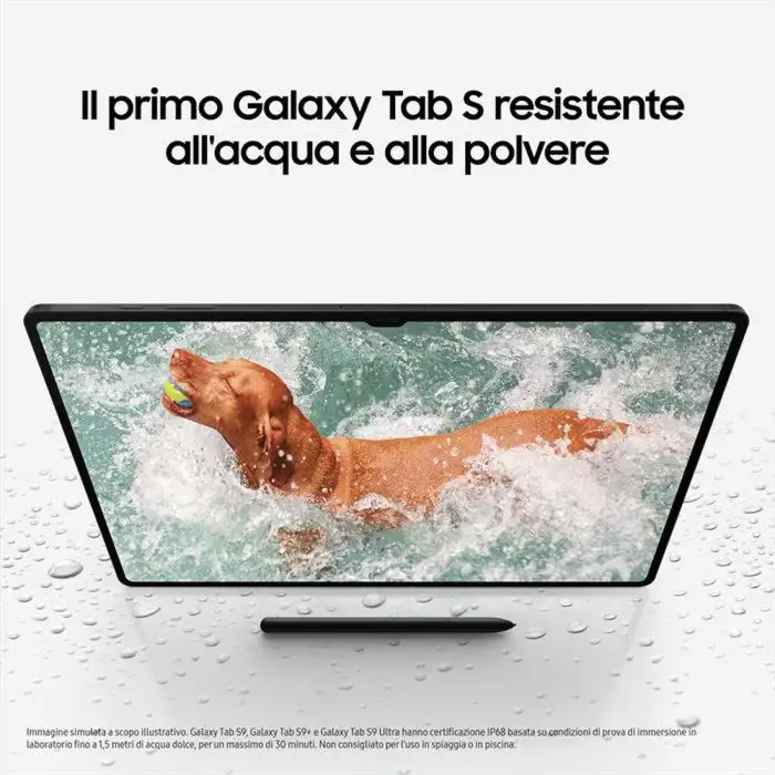 Samsung Galaxy Tab S9 Wi-Fi 12GB / 256GB Graphite , 148345 , Immagine 5