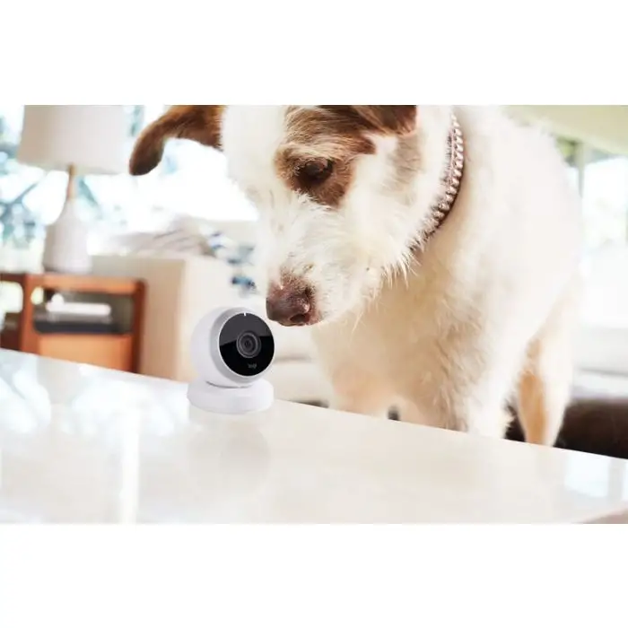 Logitech Circle Telecamera di sicurezza IP Interno Sferico Pavimento , 110352 , Immagine 16