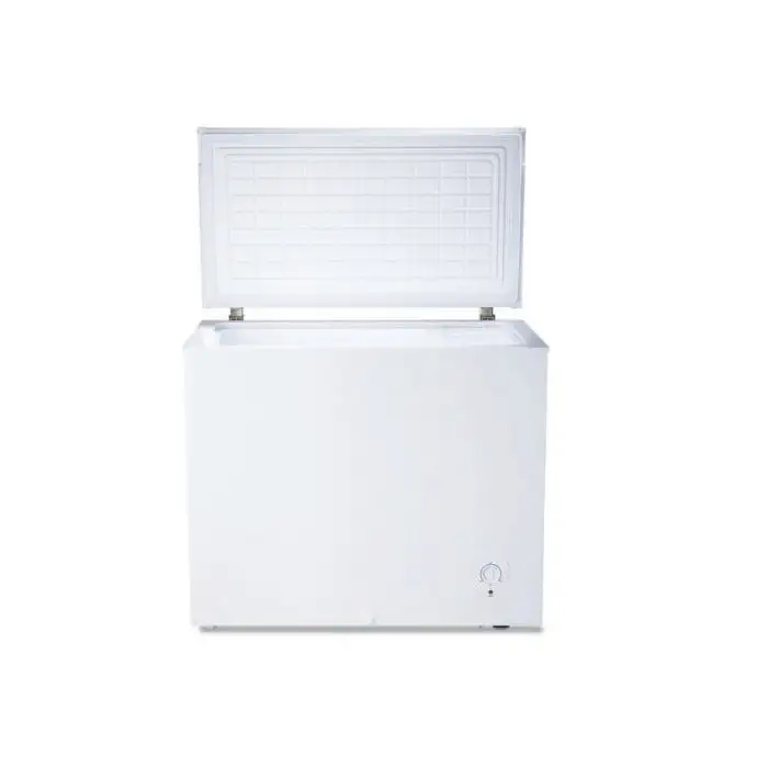 SanGiorgio SP20SW Congelatore a Pozzetto Libera installazione , 109543 , Immagine 2