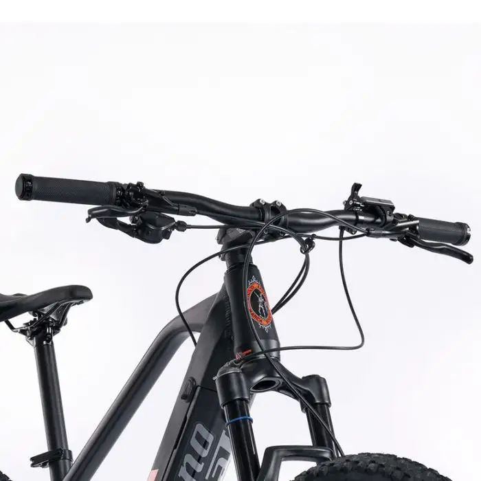 Legnano Fuoco 29 Mamba Mountain E-Bike Alluminio L 73,7 cm (29&quot;) 23 kg Litio Nero  , 145296 , Immagine 17