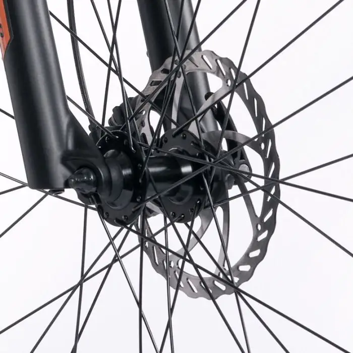 Legnano Fuoco 29 Mamba Mountain E-Bike Alluminio L 73,7 cm (29&quot;) 23 kg Litio Nero  , 145296 , Immagine 13
