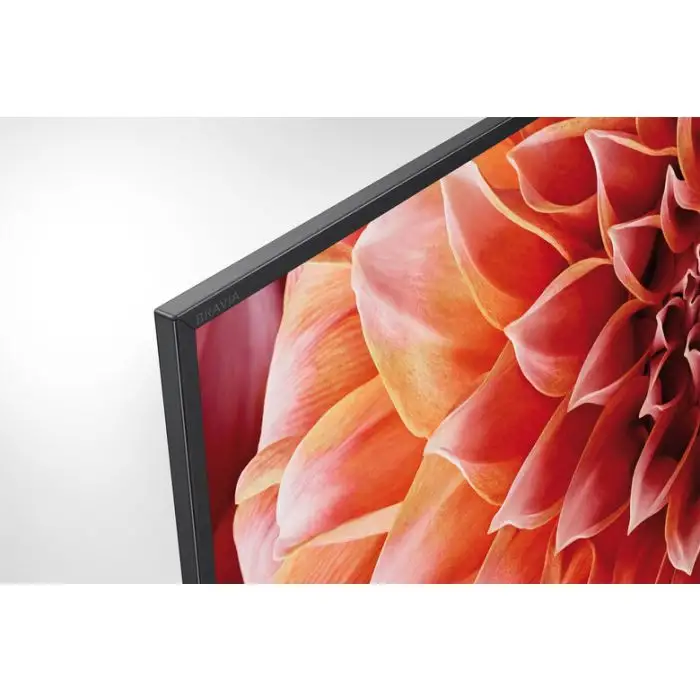Sony KD55XF9005 55&quot; Full LED 4K Ultra HD, HDR, Smart TV Wi-Fi Nero , 115291 , Immagine 9