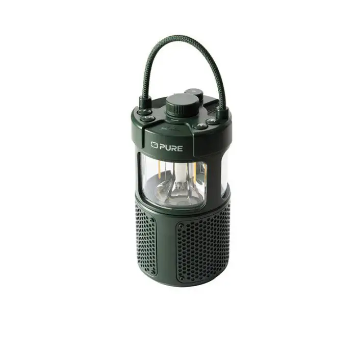 Pure 252584 altoparlante portatile e per feste Verde 20 W , 154101 , Immagine 3