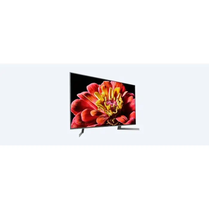 Sony KD-49XG9005 Android TV da 49 pollici, Smart TV Full Array LED 4K HDR Ultra HD con Voice Remote , 123158 , Immagine 2