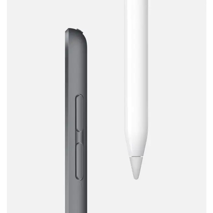 Apple iPad mini (quarta gen.) Wi-Fi + Cellular 64GB - Grigio siderale , 122346 , Immagine 2