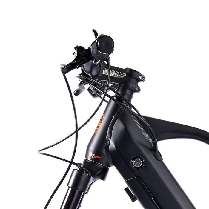 Legnano Fuoco 29 Mamba Mountain E-Bike Alluminio L 73,7 cm (29&quot;) 23 kg Litio Nero  , 145296 , Immagine 15