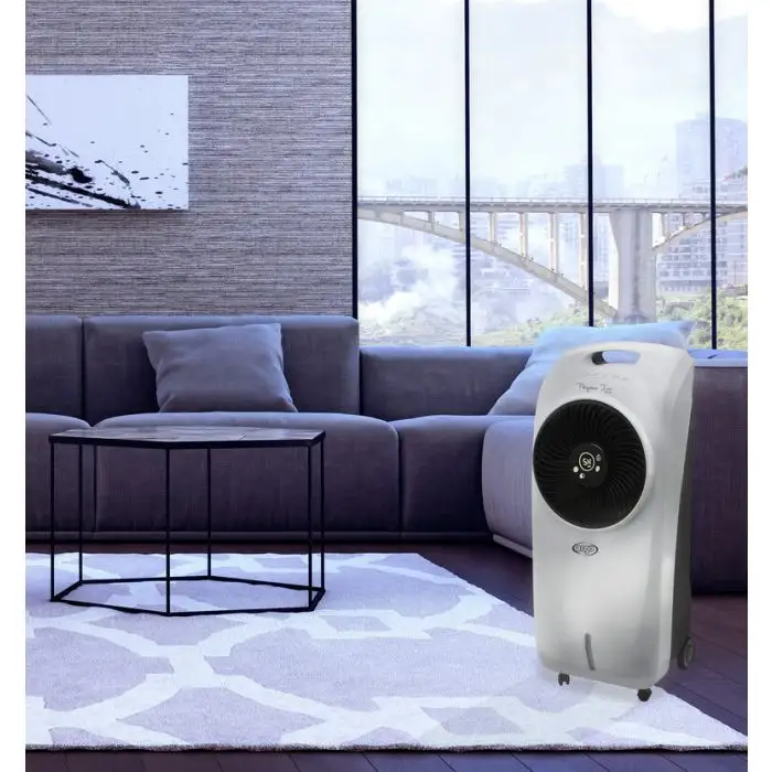 Argoclima Polifemo Ion Silver Raffrescatore evaporativo , 114259 , Immagine 6