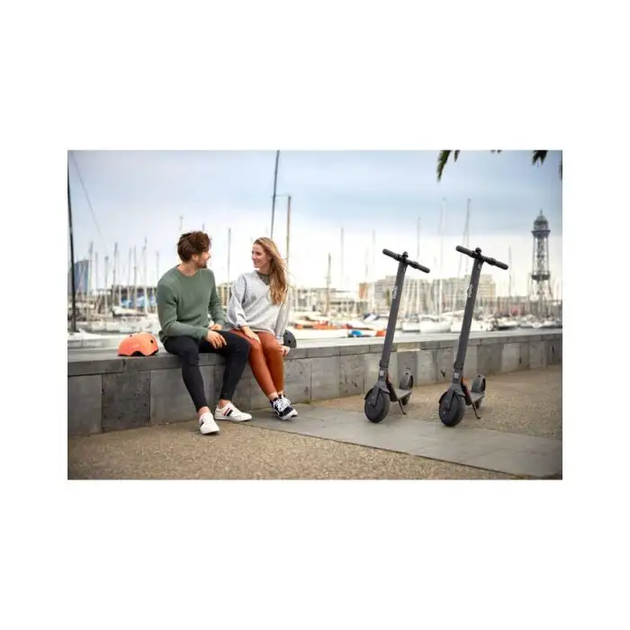 Ninebot by Segway Ninebot KickScooter E22E Powered by Segway , 130493 , Immagine 17