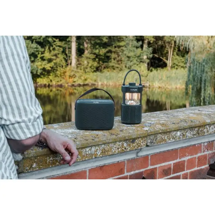 Pure 252584 altoparlante portatile e per feste Verde 20 W , 154101 , Immagine 10