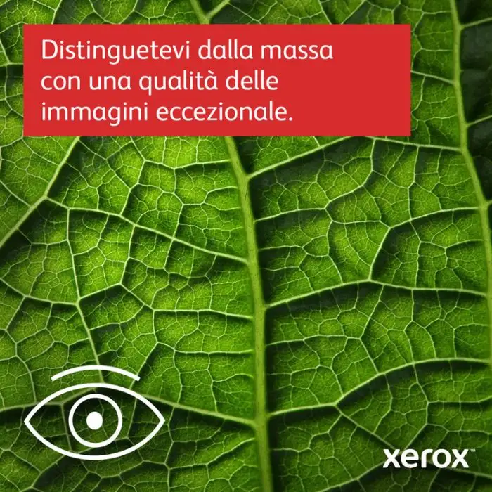 Xerox B235 A4 34 ppm Copia/Stampa/Scansione/Fax fronte/retro wireless PS3 PCL5e/6 ADF 2 vassoi Totale 251 fogli , 140326 , Immagine 11