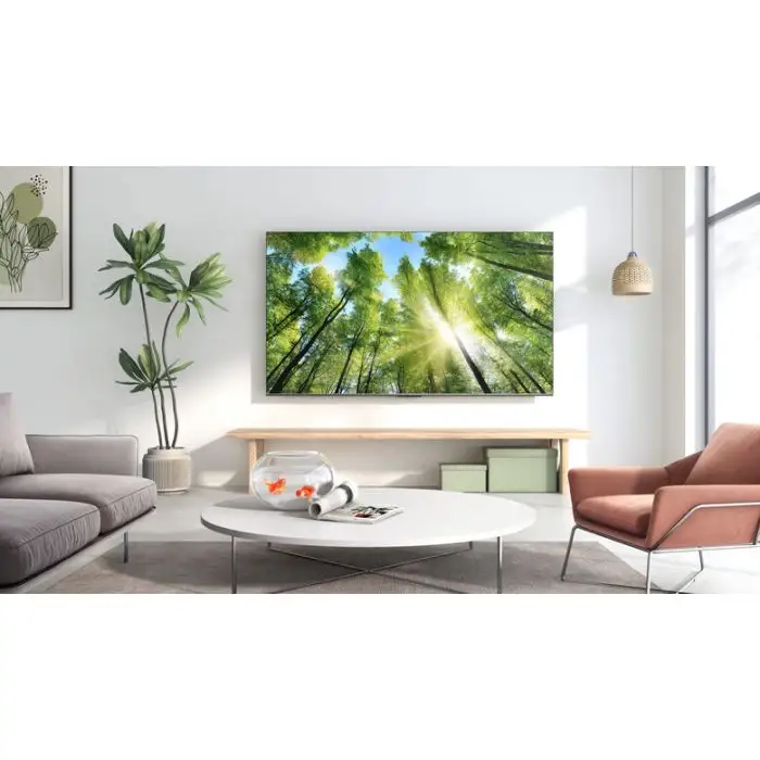 TCL Serie P73 Nanotecnologia WCG 85&quot; 85P735 Google TV , 142878 , Immagine 5