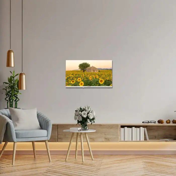 Thomson 32HA2S13W Televisione Smart TV 32 Pollici Led Frameless T2/c2s2 Android 11 Hd Wi-fi Bianco , 152644 , Immagine 5