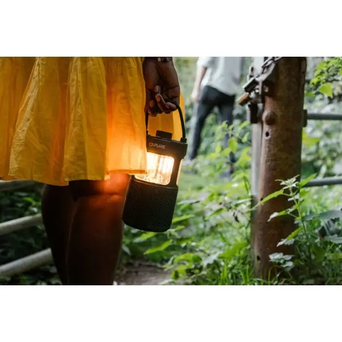 Pure 252584 altoparlante portatile e per feste Verde 20 W , 154101 , Immagine 11