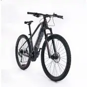 Legnano Fuoco 29 Mamba Mountain E-Bike Alluminio L 73,7 cm (29") 23 kg Litio Nero 