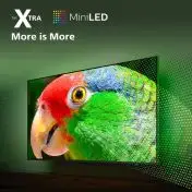 Philips Ambilight TV The Xtra 9008 55“ 4K UHD Dolby Vision e Dolby Atmos Google TV