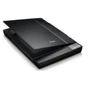 Epson Perfection V37 Scanner piano 4800 x 9600 DPI Nero