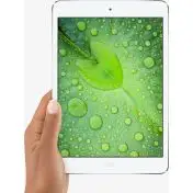 Apple iPad mini 2 3G 32 GB 20,1 cm (7.9") Wi-Fi 4 (802.11n) iOS Argento