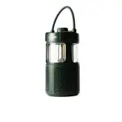 Pure 252584 altoparlante portatile e per feste Verde 20 W