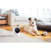 Logitech Circle Telecamera di sicurezza IP Interno Sferico Pavimento
