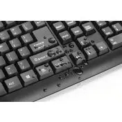 Trust CLASSICLINE KEYBOARD IT tastiera USB QWERTY Nero