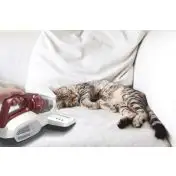 Hoover Ultra Vortex MBC500UV Rosso Senza sacchetto