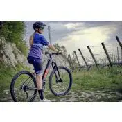 Legnano Fuoco 29 Mamba Mountain E-Bike Alluminio L 73,7 cm (29") 23 kg Litio Nero 