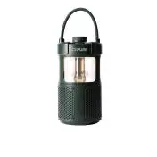Pure 252584 altoparlante portatile e per feste Verde 20 W