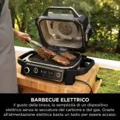 Ninja Barbecue elettrico Woodfire con affumicatore integrato OG701EU