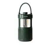 Pure 252584 altoparlante portatile e per feste Verde 20 W