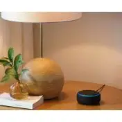 Amazon Echo Dot