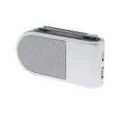 Sony ICF-304