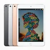 Apple iPad mini (quarta gen.) Wi-Fi + Cellular 64GB - Grigio siderale