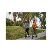 Ninebot by Segway Ninebot KickScooter E22E Powered by Segway