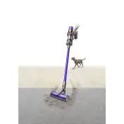 Dyson V11 Animal Extra Nichel, Viola Senza sacchetto