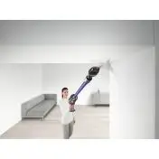 Dyson V11 Animal Extra Nichel, Viola Senza sacchetto
