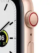 Apple Watch SE GPS + Cellular, 44mm Cassa in Alluminio color Oro con Cinturino Sport Galassia