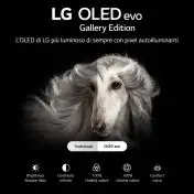 LG OLED evo Gallery Edition 4K 65'' Serie G2 OLED65G26LA Smart TV