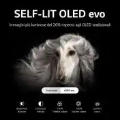 LG OLED evo 4K 55'' Serie C26 OLED55C26LD Smart TV