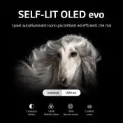 LG OLED evo 4K 48'' Serie C26 OLED48C26LB Smart TV