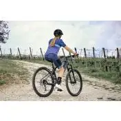 Legnano Fuoco 29 Mamba Mountain E-Bike Alluminio L 73,7 cm (29") 23 kg Litio Nero 