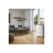 DeLonghi Condizionatore Portatile Pinguino PAC EM 93