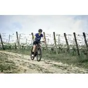 Legnano Fuoco 29 Mamba Mountain E-Bike Alluminio L 73,7 cm (29") 23 kg Litio Nero 