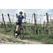 Legnano Fuoco 29 Mamba Mountain E-Bike Alluminio L 73,7 cm (29") 23 kg Litio Nero 