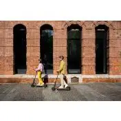 Ninebot by Segway Ninebot Monopattino Elettrico E2 Plus E II Powered by Segway
